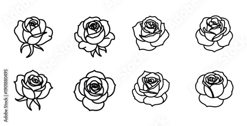 Stylish line drawing collection of beautiful roses, showcasing open petals and buds with intricate details, offering versatile decorative elements for artistic and design projects
