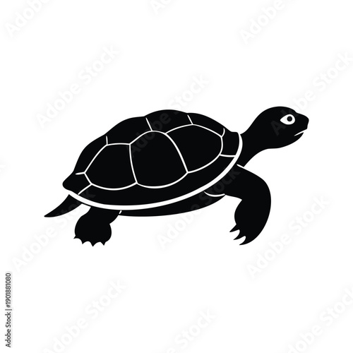 Foto terrapin silhouette vector illustration, Adorable turtle silhouette vector illus