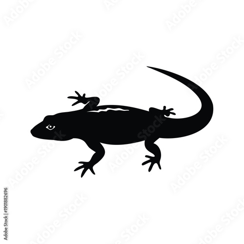 shed reptile skin silhouette vector illustration, Detailed black and white lizard silhouette with smooth lines and natural posture, perfect silhouette vector illustration
