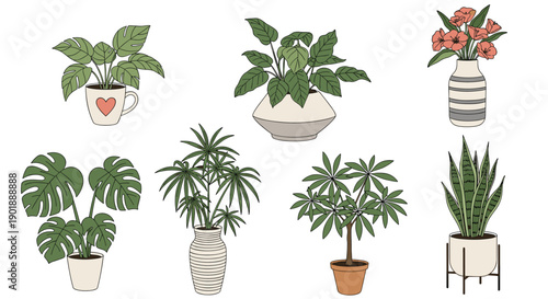 Beautiful collection of various illustrated indoor houseplants in stylish pots, vases, and planters for modern home decor.