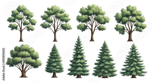 A collection of diverse trees, featuring deciduous and coniferous varieties, rendered in a realistic illustration style.