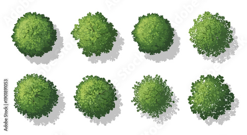 A collection of eight detailed illustrations of green trees viewed from directly above, casting subtle shadows.