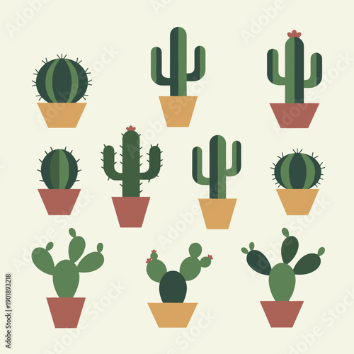 Minimalist flat vector cactus and succulent collection in terracotta pots featuring different desert plant species on cream background