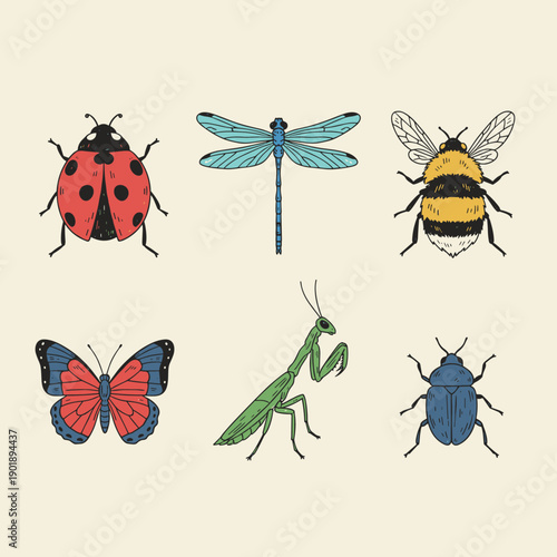 Hand drawn vintage style insect collection including ladybug dragonfly bee butterfly praying mantis and beetle isolated on light beige background