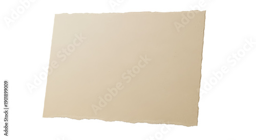 Wallpaper Mural piece of paper perfect for scrapbook isolated on transparent png Torontodigital.ca