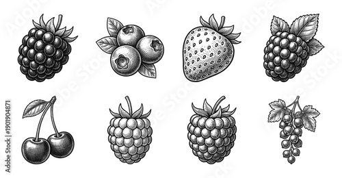 A collection of assorted berries and fruits in a vintage woodcut engraving style, featuring strawberries, blueberries, cherries, and raspberries.