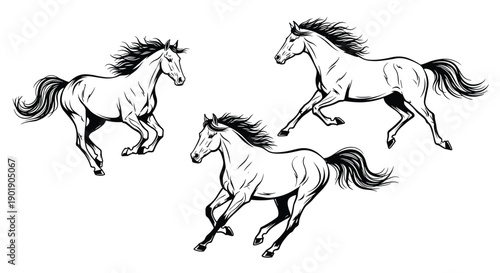 Dynamic trio of galloping horses in graceful outline illustration, depicting speed, strength, and freedom with elegant