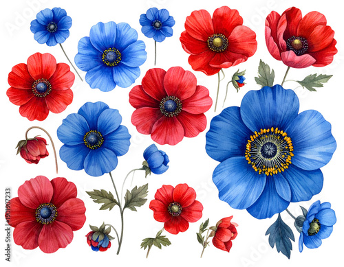 Colorful watercolor floral illustration of various anemones on black