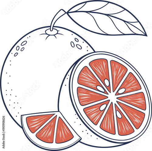 Grapefruit