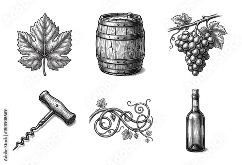 Vintage viticulture illustration set featuring hand drawn engraving style wine barrel grape cluster corkscrew and grapevine leaf elements.