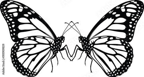 Black and white butterfly silhouette with symmetrical wings and detailed patterns for spring nature decor garden wildlife education and symmetrical insect logo vector graphics,