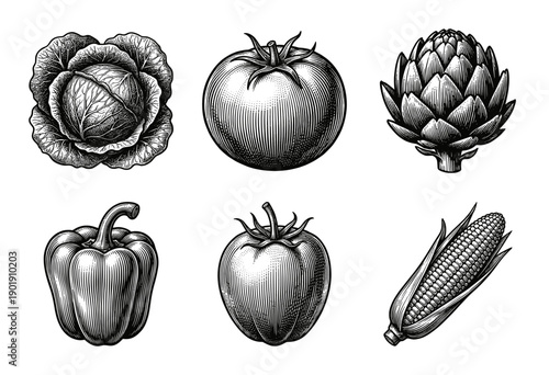 Vintage woodcut style vegetable collection featuring cabbage, tomatoes, artichoke, bell pepper, and corn on the cob in monochrome woodcut engraving.