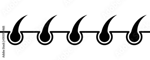 Stylized black and white illustration of continuous hair strands growing from follicles arranged in a repeating pattern creating a textured border or background element