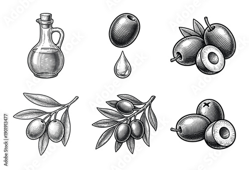 Vintage hand drawn olive set featuring oil bottle branches and fruit in black and white engraving style for Mediterranean food design.