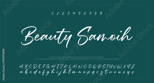 signature Font Calligraphy Logotype Script Brush Font Type Font lettering handwritten 