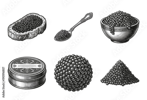 Set of black caviar illustrations in vintage woodcut engraving style including sturgeon roe on bread, spoon, bowl, tin, and clusters