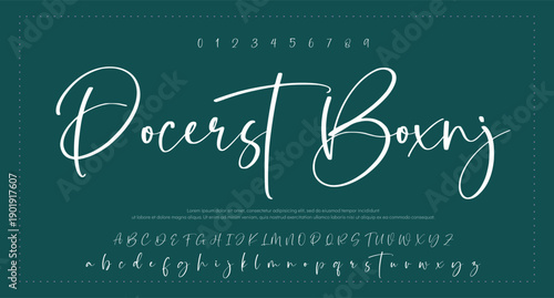 Hand drawn vector alphabet. Modern monoline signature script font. Elegant Signature Font. Best Alphabet Beautiful Calligraphy Signature Font. vector illustration