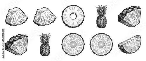 Vintage pineapple collection featuring hand drawn sketches of whole fruit, slices, rings, and chunks in a detailed woodcut engraving style.