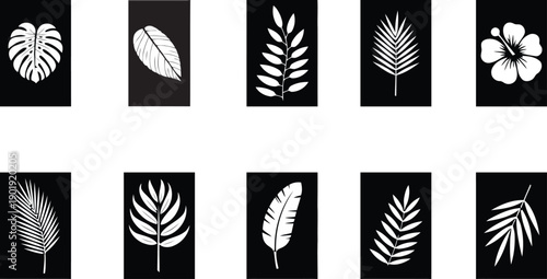 Tropical leaves and hibiscus flower collection with various shapes and textures for exotic design elements and summer themes isolated on black background vector illustration