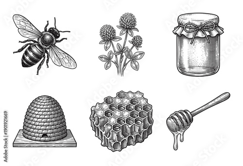 Vintage woodcut style illustration set of honey bees, clover flowers, traditional skep beehive, honeycomb, and honey dipper.