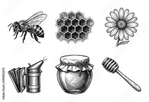 Vintage hand drawn engraving illustration set of beekeeping elements including honey bee honeycomb flower smoker and jar