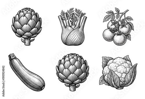 Vintage engraving collection of hand drawn vegetables including artichoke fennel tomato zucchini and cauliflower in a woodcut line art style.