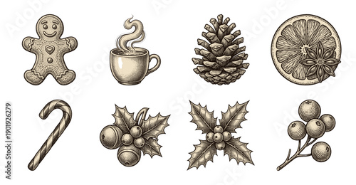 Vintage holiday season hand drawn engraving collection featuring gingerbread man, hot chocolate, pinecone, orange slice, and holly berries.