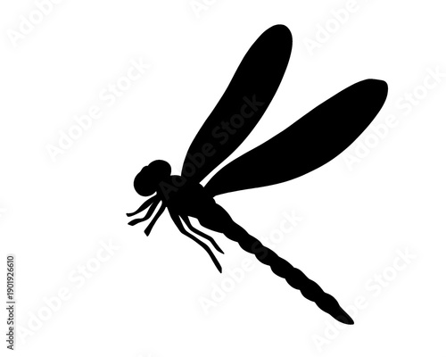 dragonfly silhouette, icon isolated on white background
