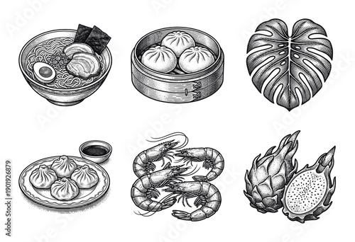 Asian culinary and tropical botanical collection featuring hand drawn ramen, dim sum, shrimp, dragon fruit, and monstera leaf in a vintage woodcut engraving style.