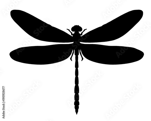 dragonfly silhouette, vector illustration
