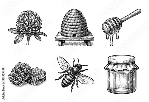 Vintage engraving style honey production and apiculture collection featuring a bee, beehive, honeycomb, clover flower, and honey jar.