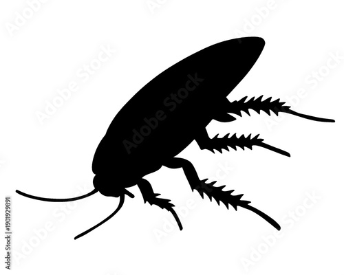 cockroach silhouette, insect, icon isolated on white background

