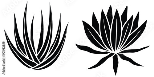 Black Agave Succulent Plant Silhouette Set, Minimal Botanical Vector Illustration. Tequila Logo Graphic