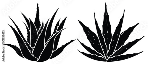 Black Agave Succulent Plant Silhouette Set, Minimal Botanical Vector Illustration. Tequila Logo Graphic