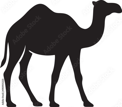 Walking camel silhouette isolated on white background for desert and middle eastern themes