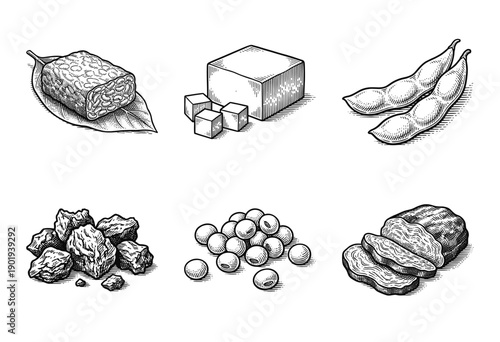 Set of hand drawn woodcut style illustrations featuring various soy products including tempeh tofu edamame and soybeans