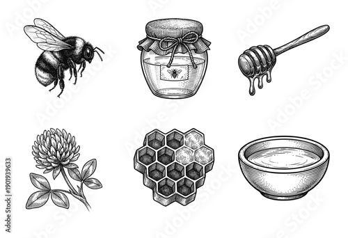Vintage style woodcut illustration set of honey production featuring a bumblebee clover flower honeycomb jar and dipper