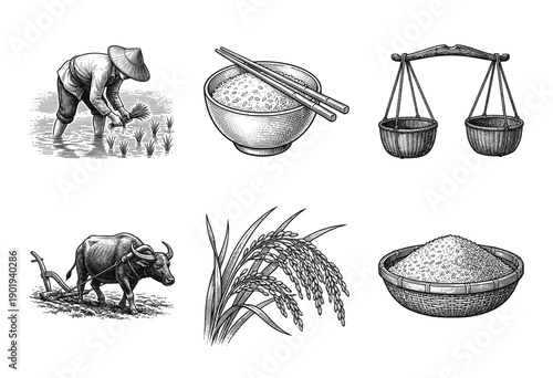 Traditional rice farming and harvest collection featuring woodcut style illustrations of farmers, water buffalo, paddy stalks, and cultural cultivation tools.