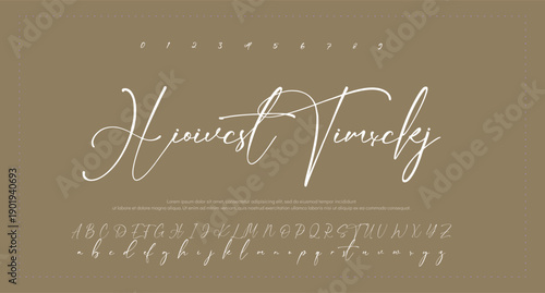 Elegant Script Font Alphabet Typography 
