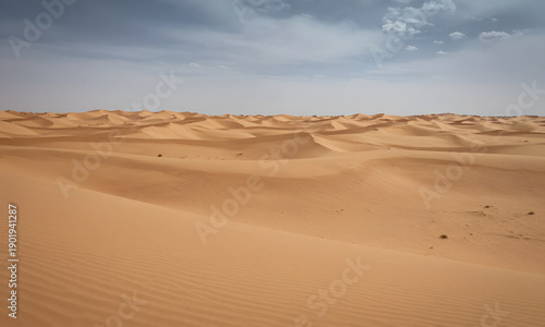 Desert Landscape with Dunes