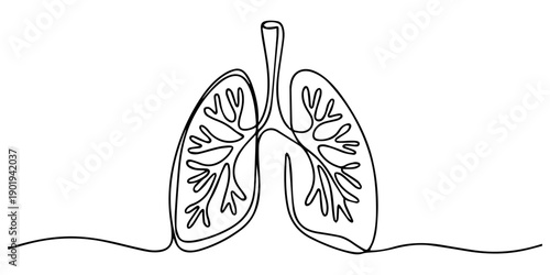 Continuous one line art of human lungs simple minimalist drawing, Continuous single line drawing of human lungs with editable stroke. Minimal one line art style vector. eps, Anatomy of lungs vector.