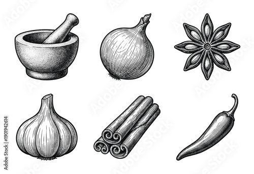 Culinary spice and condiment collection featuring hand drawn engraving style illustrations of mortar pestle onion star anise garlic cinnamon and chili pepper.