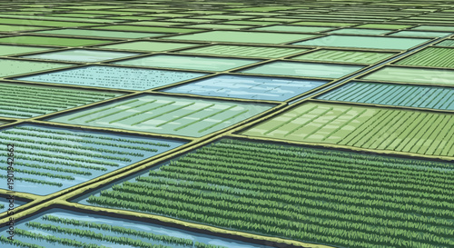 Geometric agricultural fields landscape illustration showing organized farmland plots forming a patchwork pattern, representing modern agriculture, land management, food production, rural planning, su