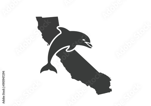 Dolphin jumping out of california state map silhouette vector illustration