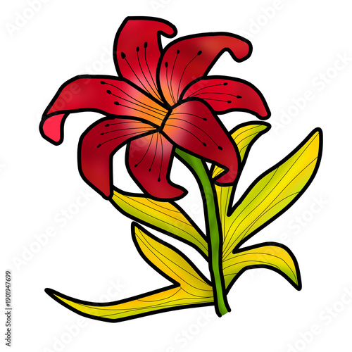 illustration of a hibiscus flower or Hibiscus rosa sinensis, native to East Asia and commonly found in tropical or subtropical regions. Stickers, posters, elegant, blooming, red, wedding.