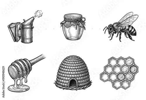 Vintage engraving style beekeeping collection featuring honey bee, skep hive, smoker, honeycomb, and honey jar illustrations.