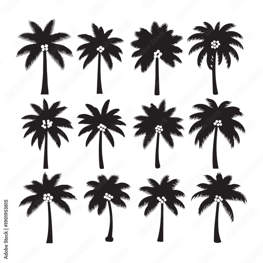 Fototapeta premium Collection of Black Palm Tree Silhouettes with Coconuts, Isolated Vector Graphics