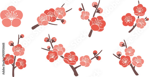 Chinese Plum Blossom Icon Set