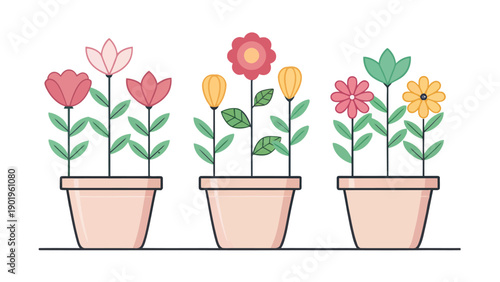 Vibrant flowers in colorful pots for home decor inspiration