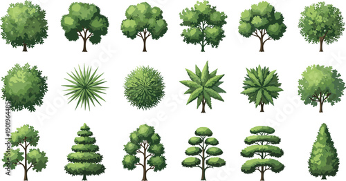 “Collection of twenty stylized tree illustrations showcasing diverse foliage, coniferous and deciduous types for landscape, nature, and design projects”